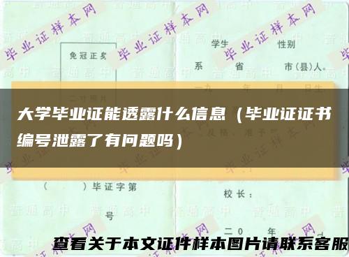 大学毕业证能透露什么信息（毕业证证书编号泄露了有问题吗）缩略图