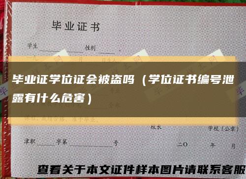 毕业证学位证会被盗吗（学位证书编号泄露有什么危害）缩略图