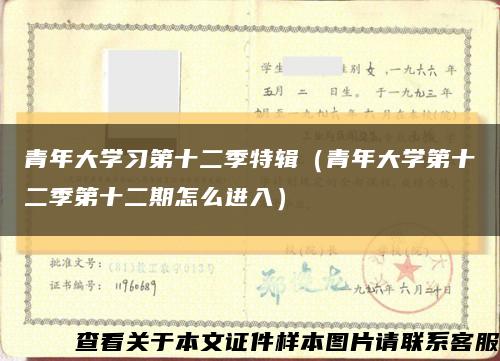 青年大学习第十二季特辑（青年大学第十二季第十二期怎么进入）缩略图