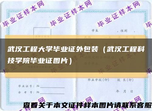 武汉工程大学毕业证外包装（武汉工程科技学院毕业证图片）缩略图