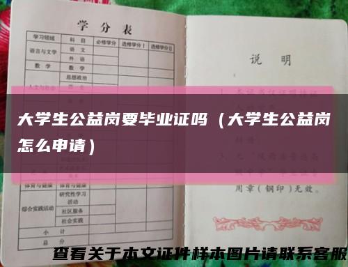 大学生公益岗要毕业证吗（大学生公益岗怎么申请）缩略图