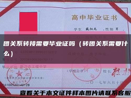 团关系转接需要毕业证吗（转团关系需要什么）缩略图