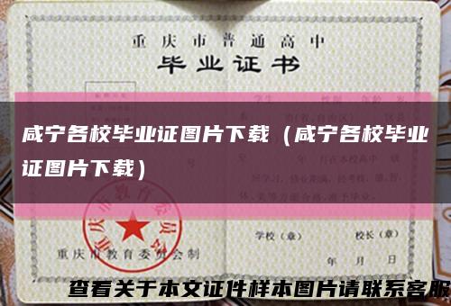 咸宁各校毕业证图片下载（咸宁各校毕业证图片下载）缩略图