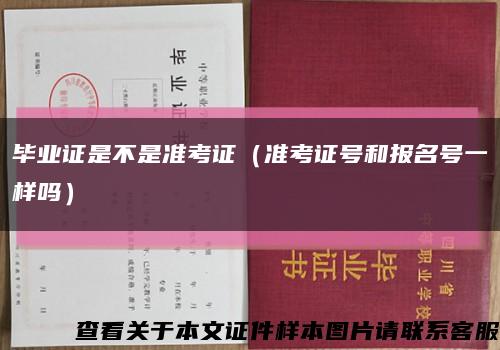 毕业证是不是准考证（准考证号和报名号一样吗）缩略图