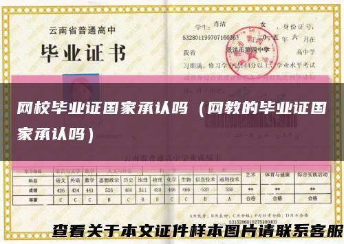 网校毕业证国家承认吗（网教的毕业证国家承认吗）缩略图