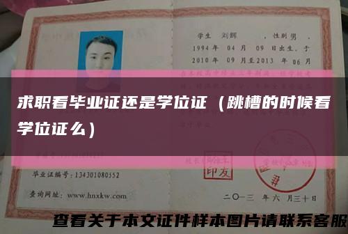 求职看毕业证还是学位证（跳槽的时候看学位证么）缩略图