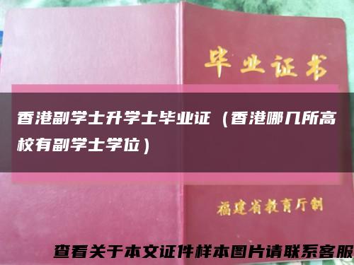 香港副学士升学士毕业证（香港哪几所高校有副学士学位）缩略图