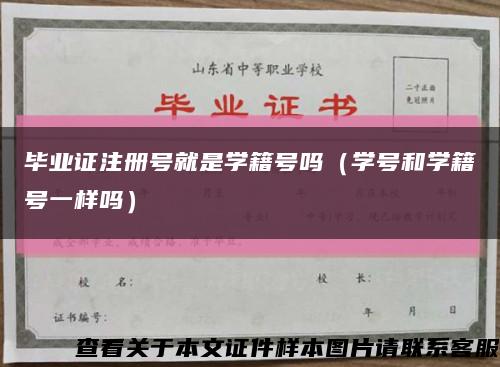毕业证注册号就是学籍号吗（学号和学籍号一样吗）缩略图