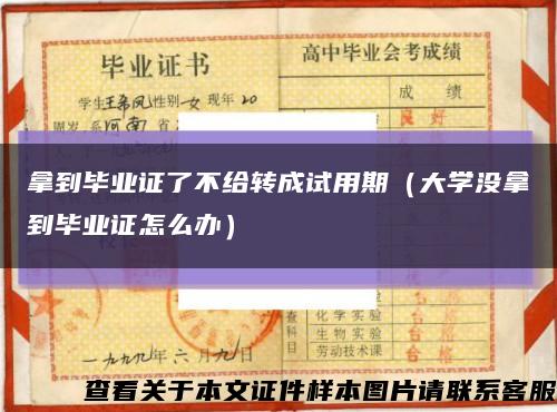 拿到毕业证了不给转成试用期（大学没拿到毕业证怎么办）缩略图