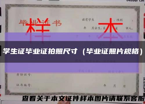 学生证毕业证拍照尺寸（毕业证照片规格）缩略图