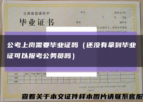 公考上岗需要毕业证吗（还没有拿到毕业证可以报考公务员吗）缩略图