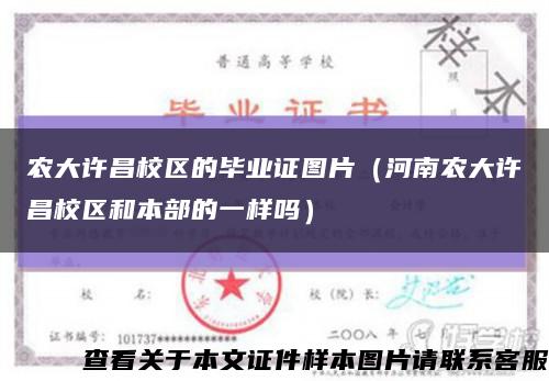 农大许昌校区的毕业证图片（河南农大许昌校区和本部的一样吗）缩略图