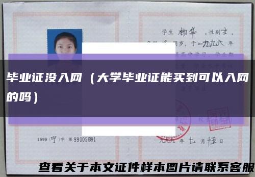毕业证没入网（大学毕业证能买到可以入网的吗）缩略图