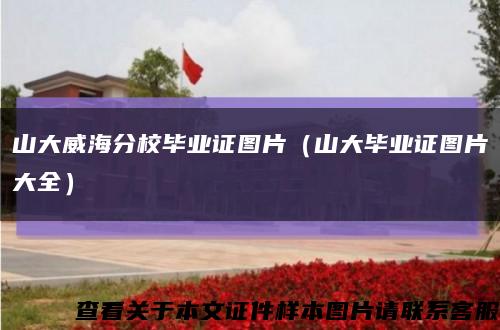 山大威海分校毕业证图片（山大毕业证图片大全）缩略图