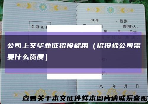 公司上交毕业证招投标用（招投标公司需要什么资质）缩略图