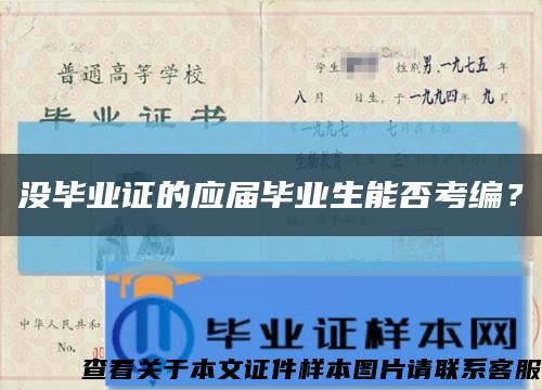 没毕业证的应届毕业生能否考编？缩略图