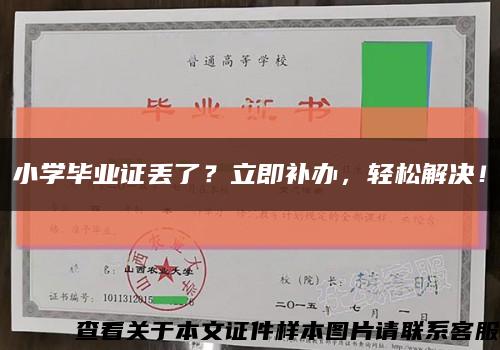 小学毕业证丢了？立即补办，轻松解决！缩略图