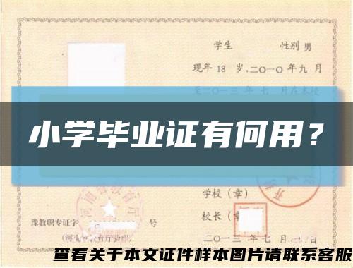 小学毕业证有何用？缩略图