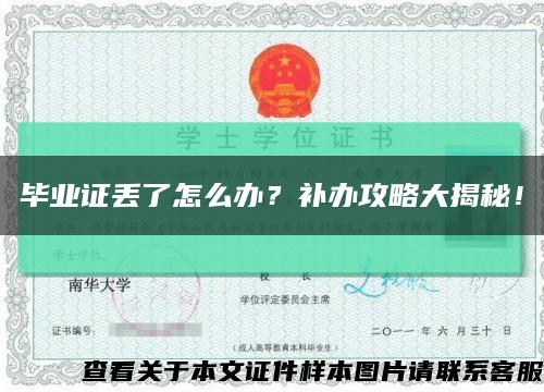 毕业证丢了怎么办？补办攻略大揭秘！缩略图