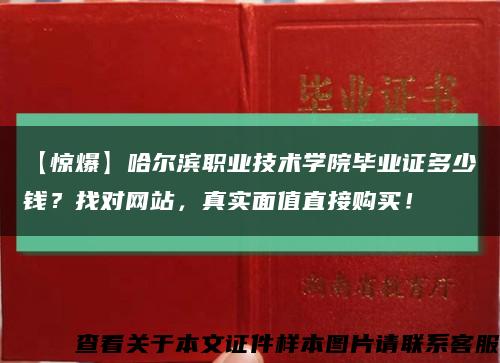 【惊爆】哈尔滨职业技术学院毕业证多少钱？找对网站，真实面值直接购买！缩略图