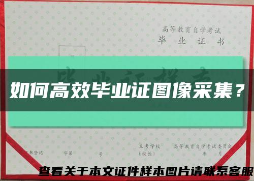 如何高效毕业证图像采集？缩略图