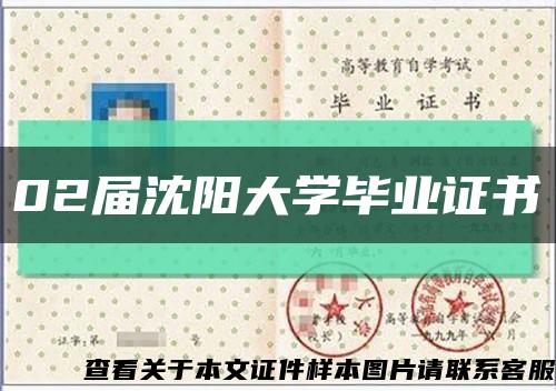 02届沈阳大学毕业证书缩略图