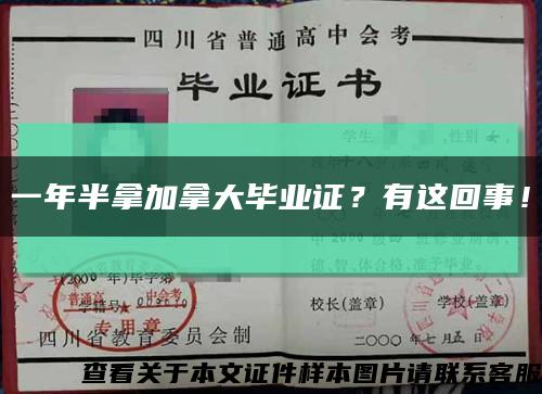 一年半拿加拿大毕业证？有这回事！缩略图