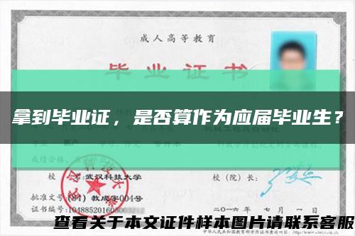 拿到毕业证，是否算作为应届毕业生？缩略图