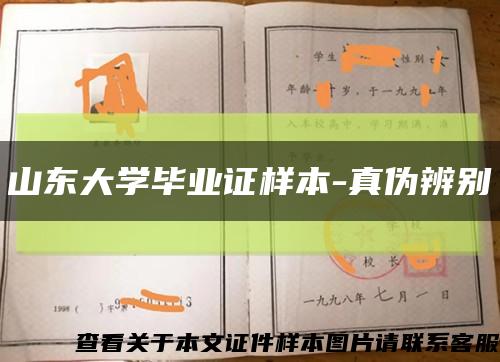 山东大学毕业证样本-真伪辨别缩略图