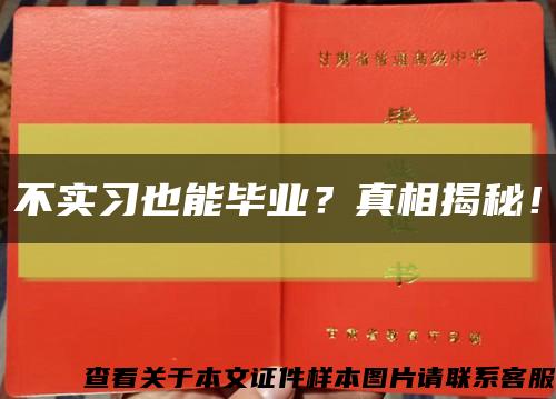 不实习也能毕业？真相揭秘！缩略图