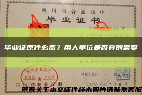 毕业证原件必备？用人单位是否真的需要缩略图