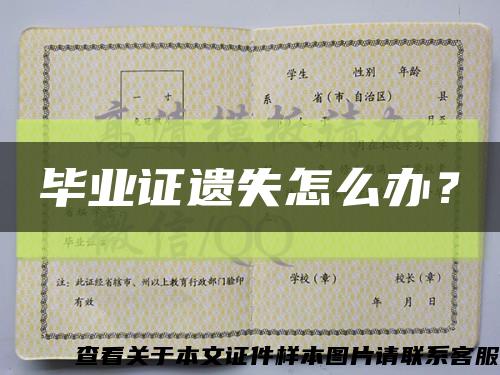 毕业证遗失怎么办？缩略图