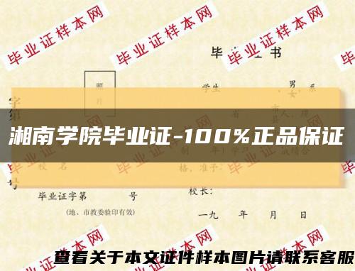 湘南学院毕业证-100%正品保证缩略图