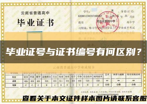 毕业证号与证书编号有何区别？缩略图