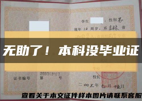 无助了！本科没毕业证缩略图