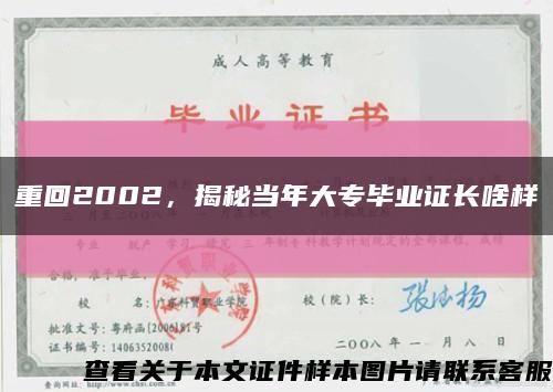 重回2002，揭秘当年大专毕业证长啥样缩略图