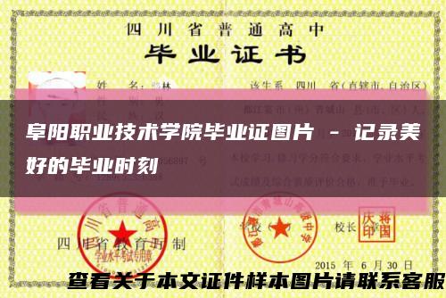 阜阳职业技术学院毕业证图片 - 记录美好的毕业时刻缩略图