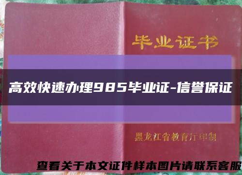 高效快速办理985毕业证-信誉保证缩略图