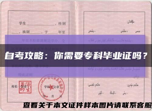 自考攻略：你需要专科毕业证吗？缩略图