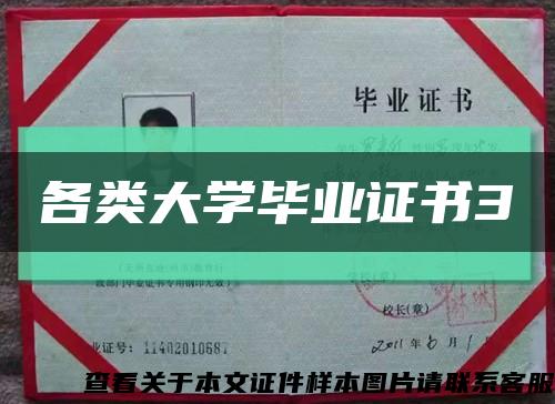 各类大学毕业证书3缩略图