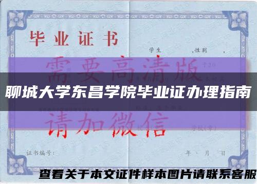 聊城大学东昌学院毕业证办理指南缩略图