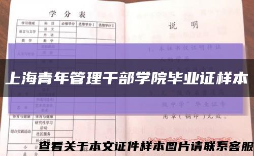 上海青年管理干部学院毕业证样本缩略图