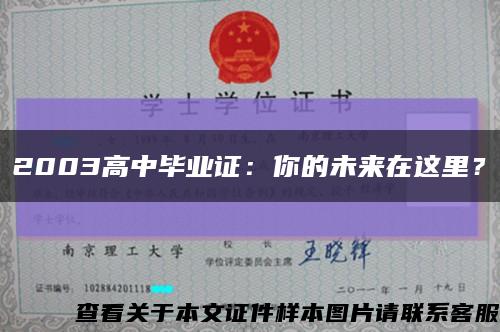 2003高中毕业证：你的未来在这里？缩略图