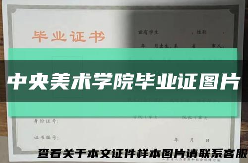 中央美术学院毕业证图片缩略图