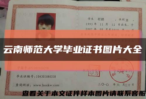 云南师范大学毕业证书图片大全缩略图