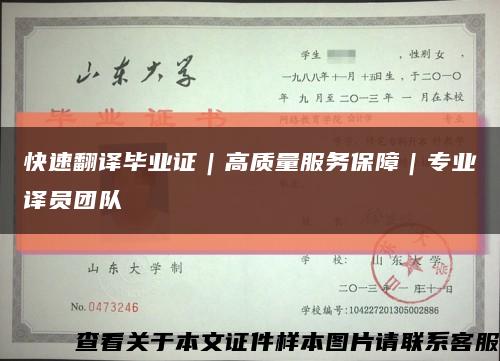 快速翻译毕业证｜高质量服务保障｜专业译员团队缩略图