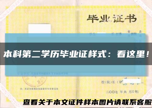 本科第二学历毕业证样式：看这里！缩略图