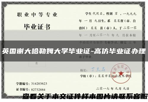 英国谢大哈勒姆大学毕业证-高仿毕业证办理缩略图