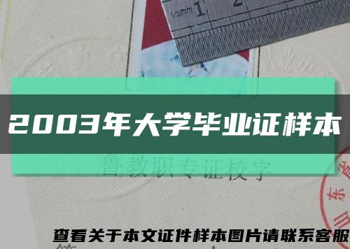 2003年大学毕业证样本缩略图