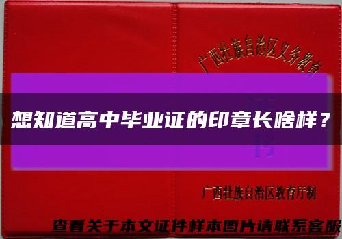 想知道高中毕业证的印章长啥样？缩略图
